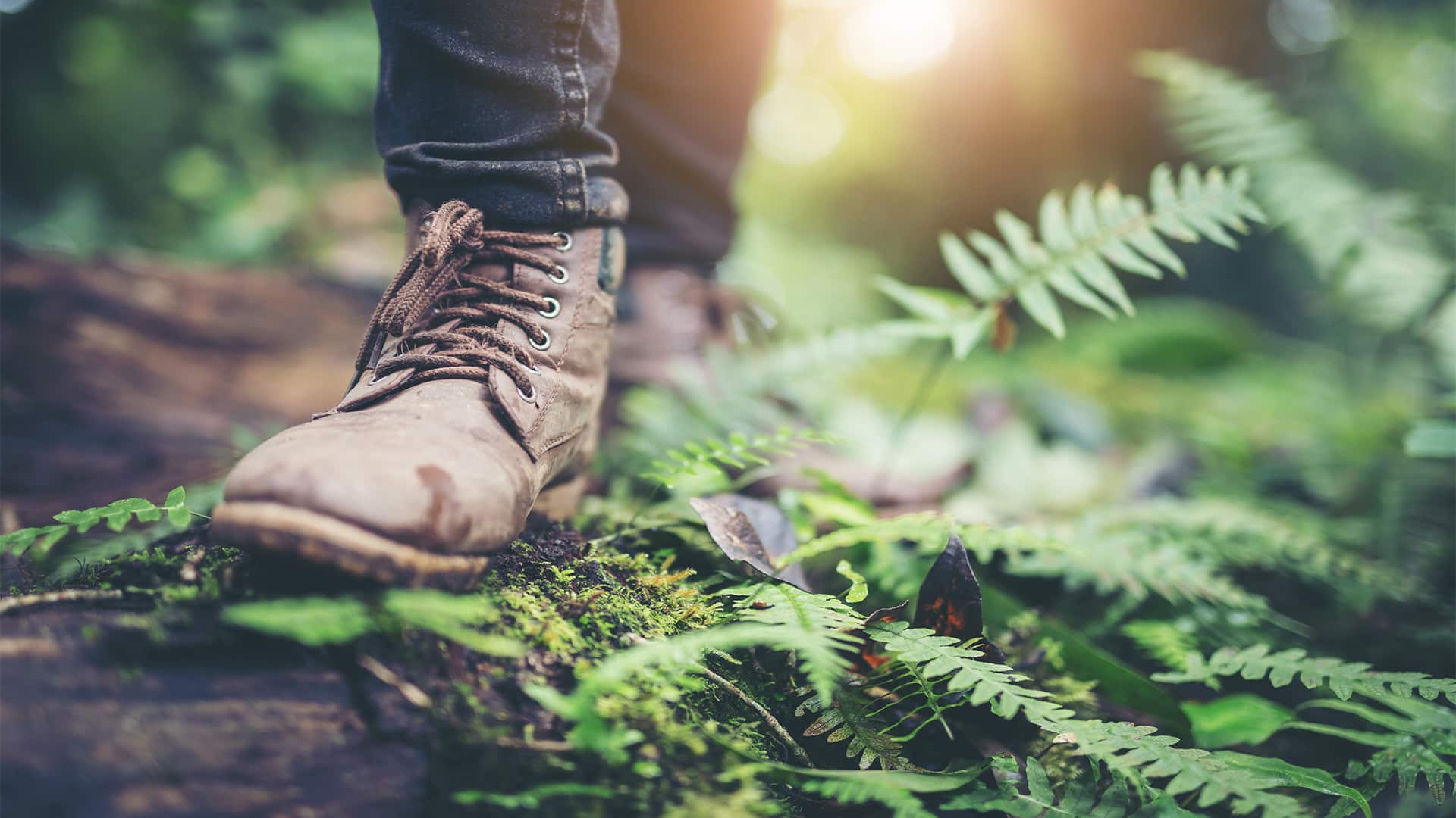 Hike Mt. Brurahornet 